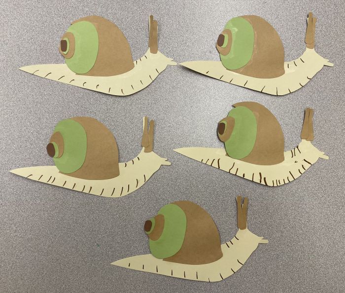 snail design, a bit more complicated from cut paper